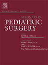 Seminars in Pediatric Surgery封面